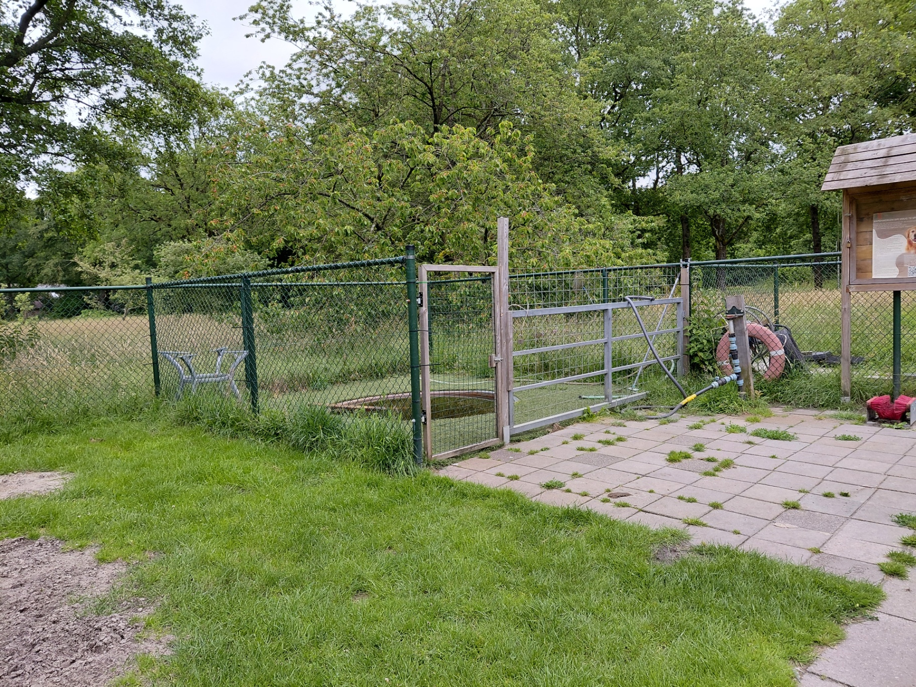 Het hondenzwembad