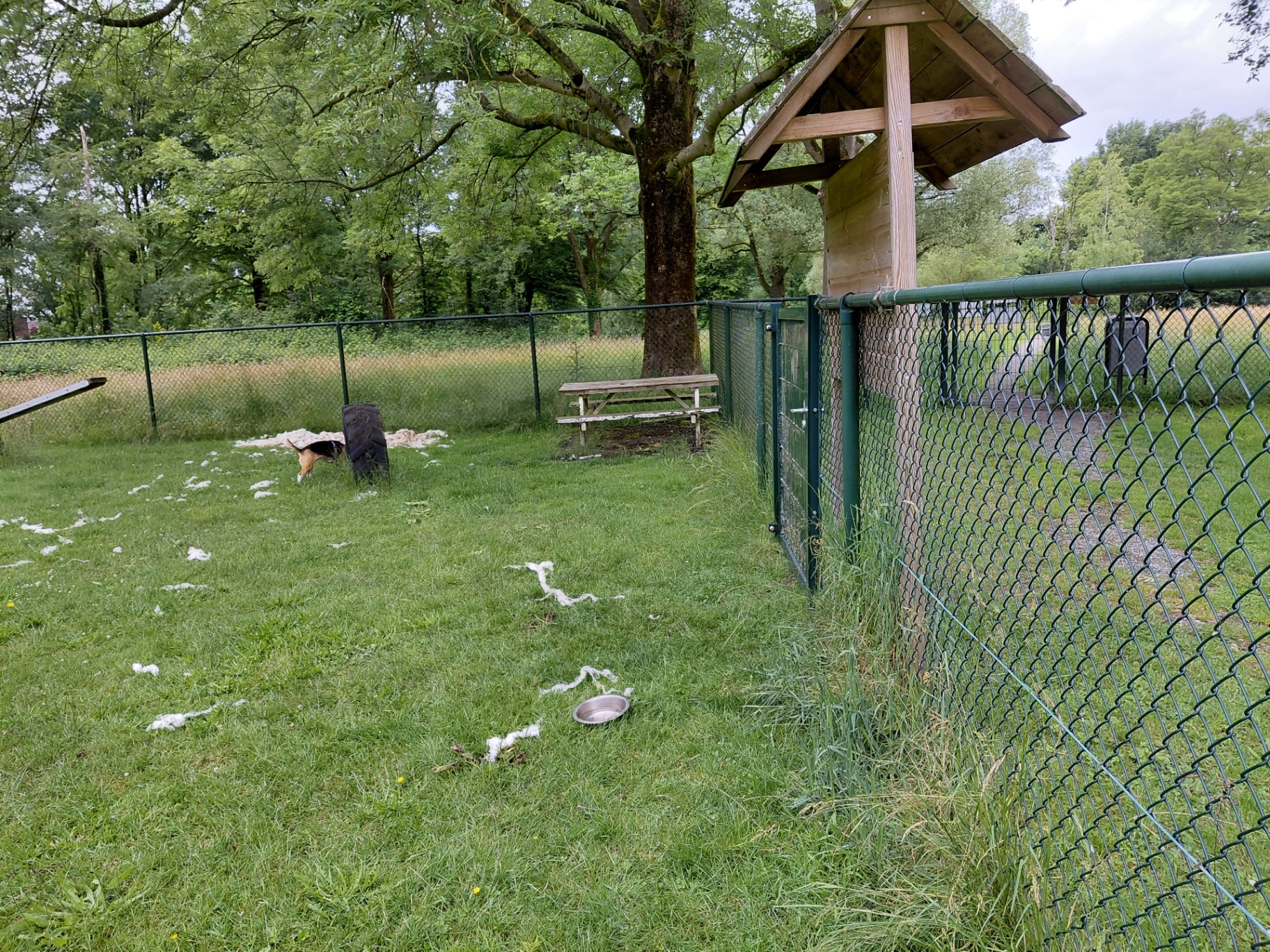 Picknicktafel bij het kleine veld